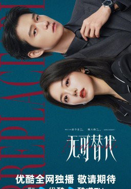 Irreplaceable poster